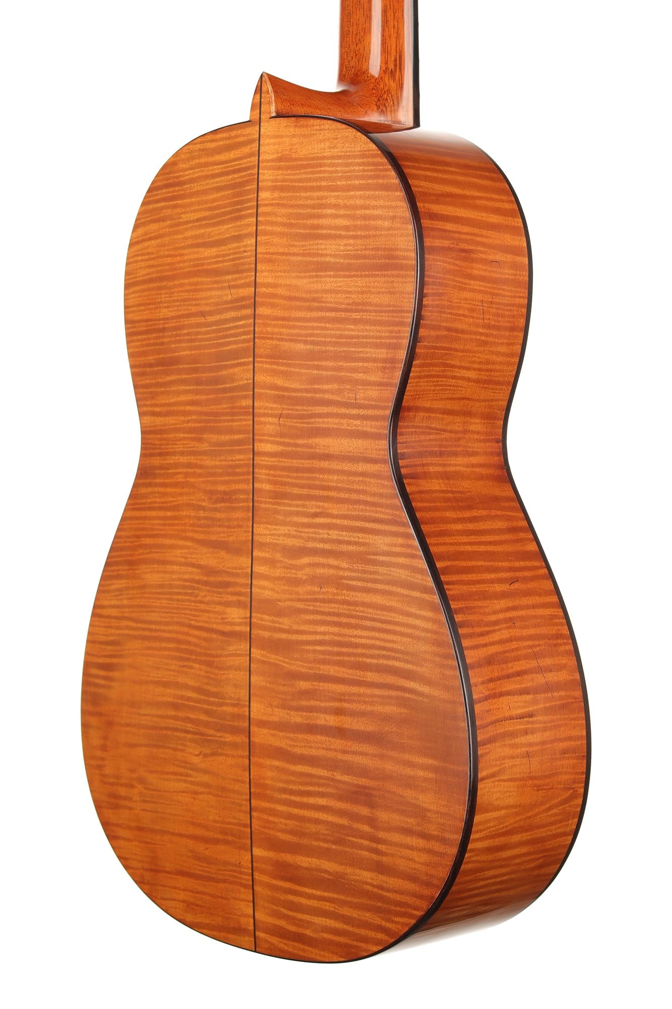 La Cañada - 17A Maple 64 cm