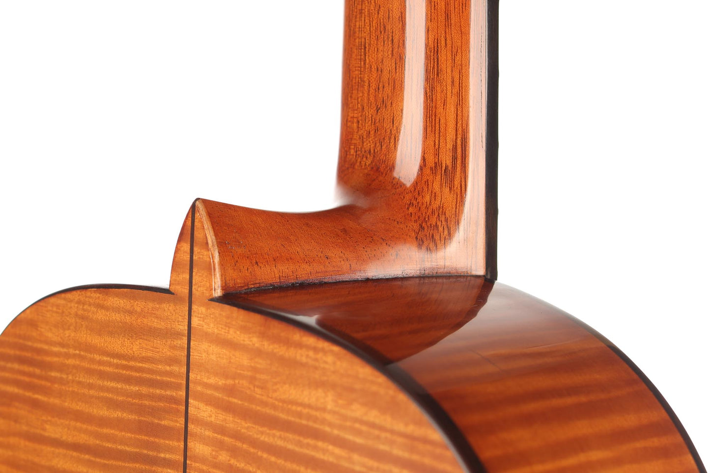 La Cañada - 17A Maple 64 cm