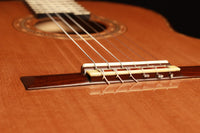 Michael Gee - 2013 Doubletop