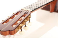 Nicolaus Wollf  - 2016