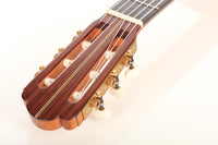 Nicolaus Wollf  - 2016