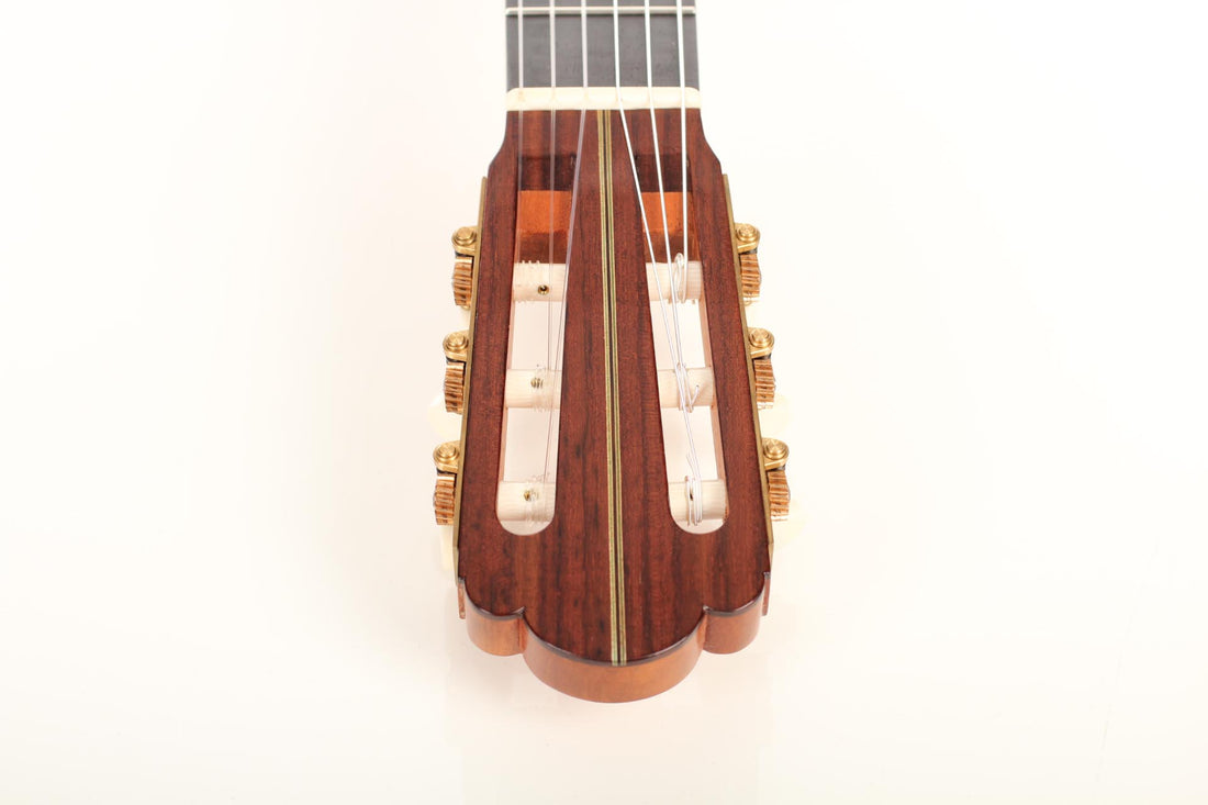 Nicolaus Wollf  - 2016