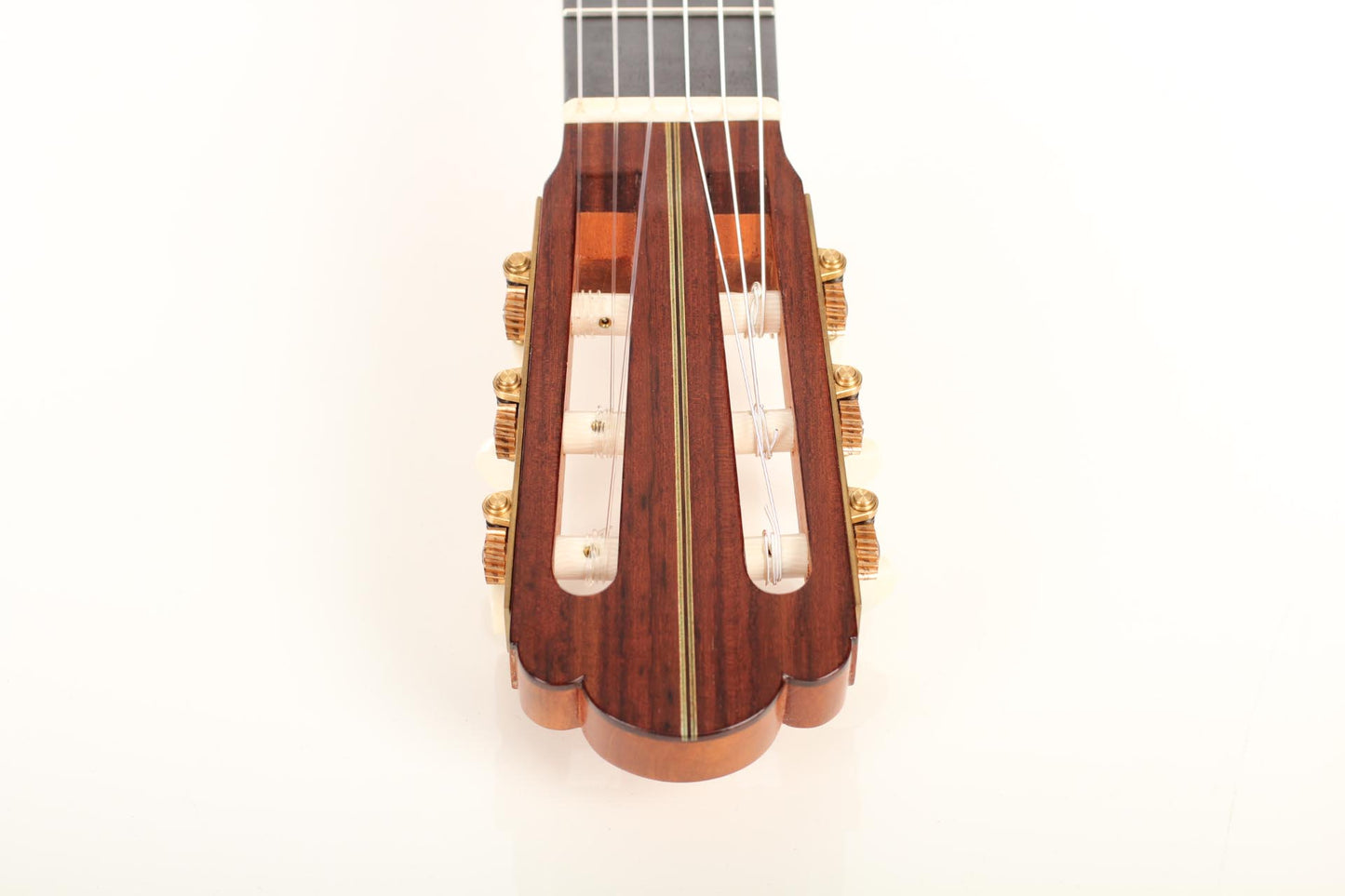 Nicolaus Wollf  - 2016