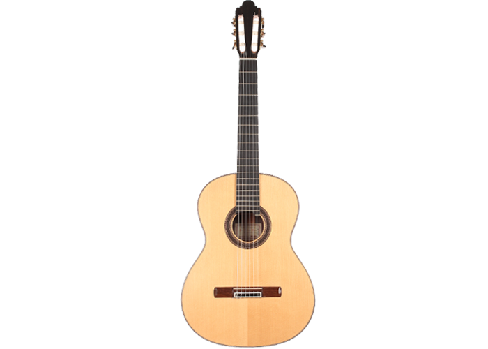 Paco Santiago Marin - XXX Aniversario 2012 640 - Classical Guitar 