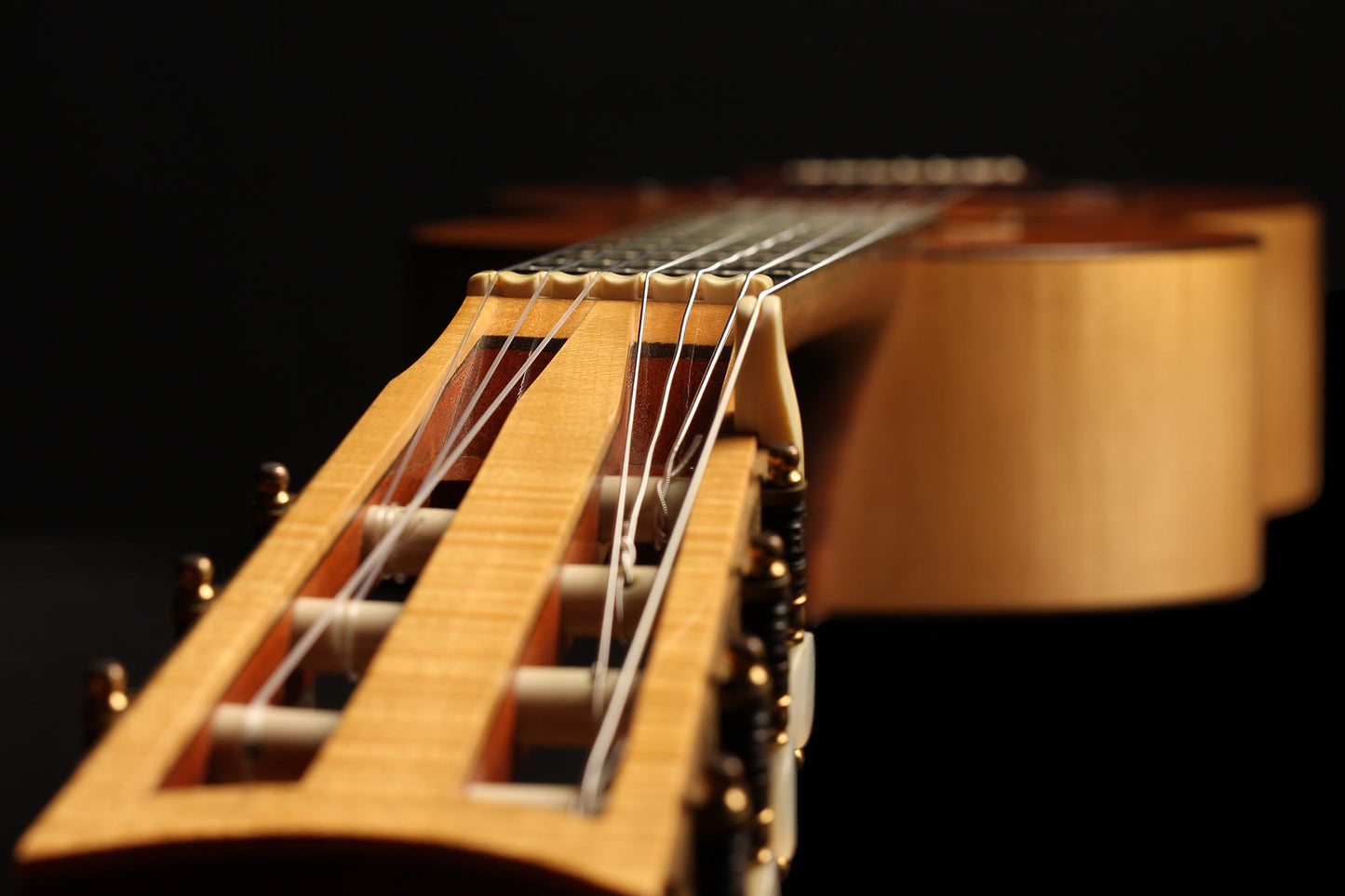 Paul Fischer - 1985 "Panormo 7 Strings"