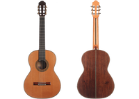 Paulino Bernabé - M15 2017