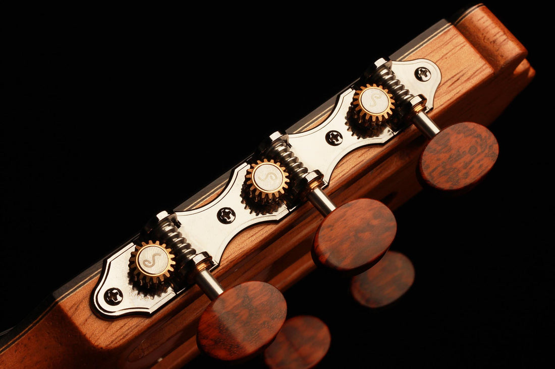 Paulino Bernabé - 2019 640mm