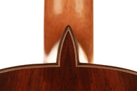 Paulino Bernabé - 2019 640mm