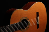 Paulino Bernabé - 2013 Especial Goldmedaille