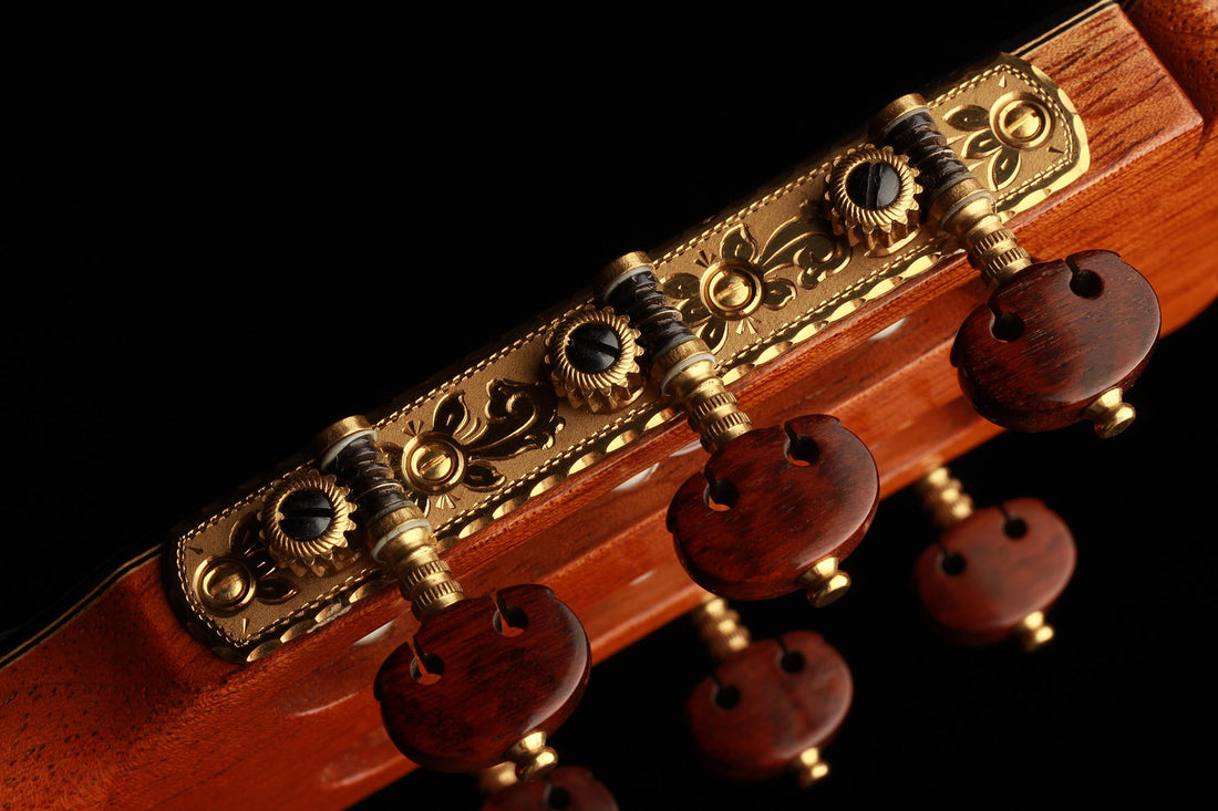 Paulino Bernabe - 2019 Concierto