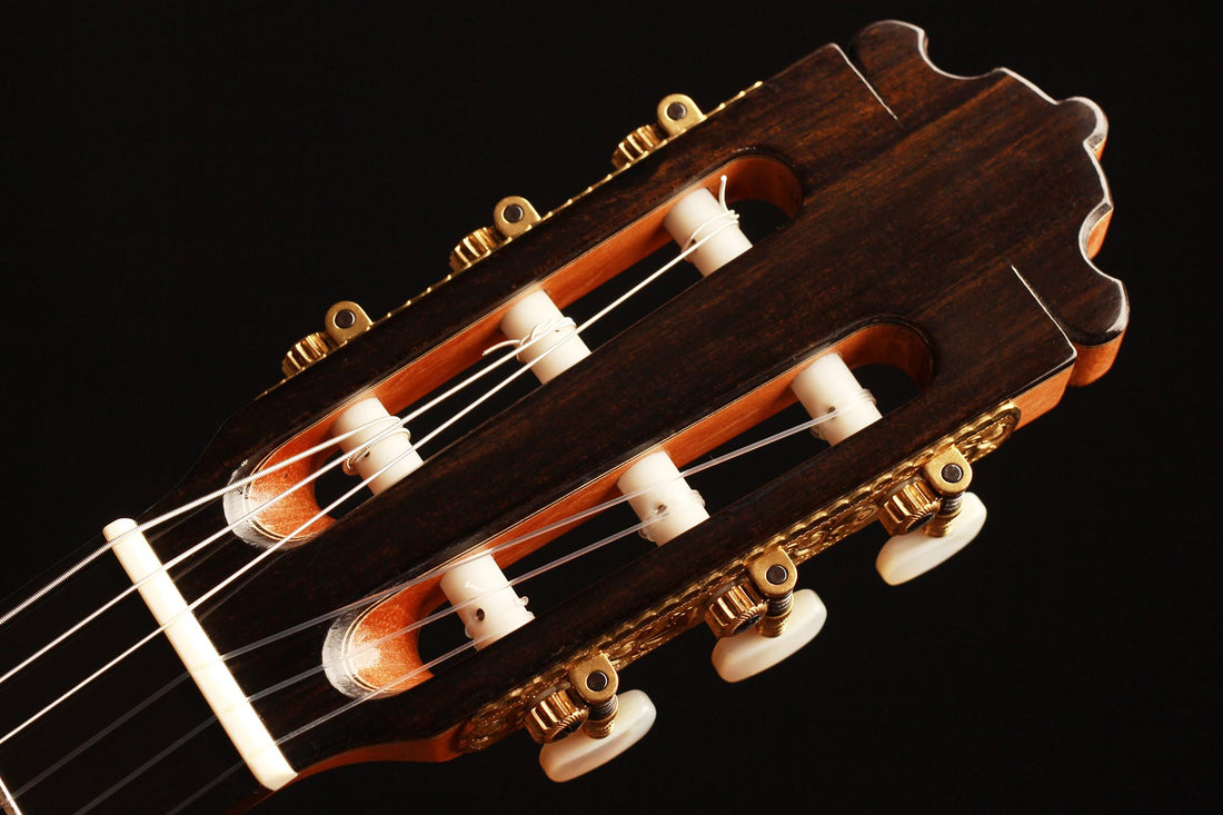 Paulino Bernabé - 2019 Especial