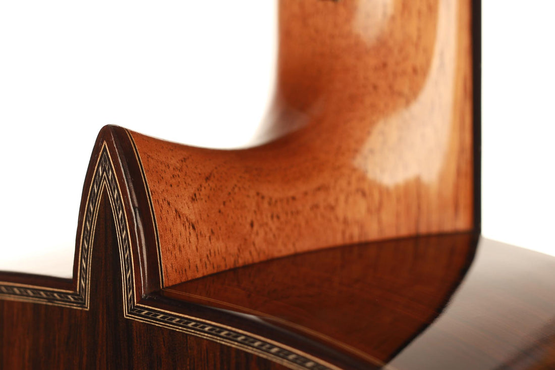 Paulino Bernabé - 2019 Especial