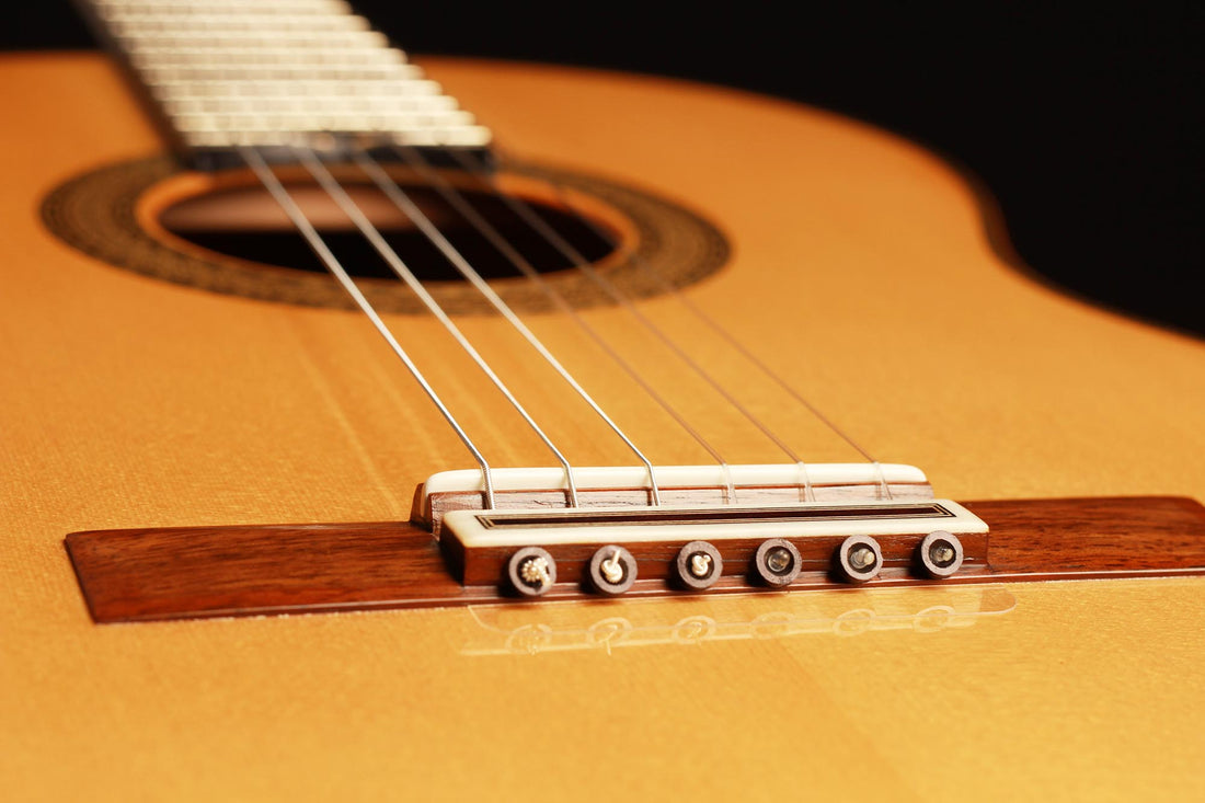 Paulino Bernabé - 2019 Especial