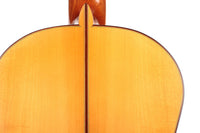 Pedro Muriel - Flamenca 2017 CF