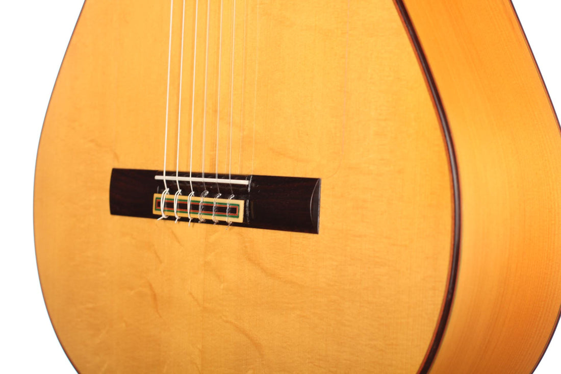 Pedro Muriel - Flamenca 2017 CF