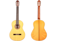 Pedro Muriel - Flamenca 2017 CF