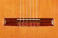 Petr Matoušek - 2008