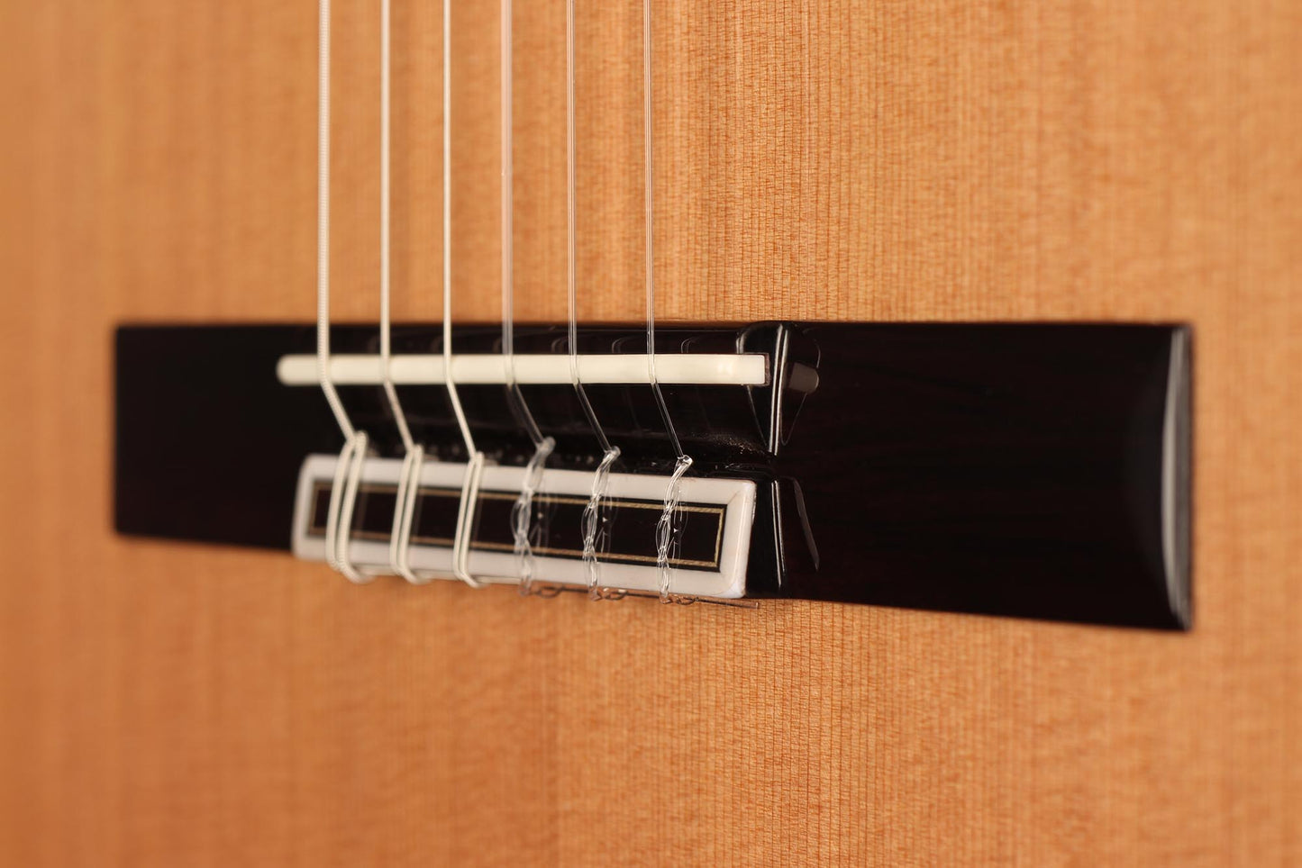 Raimundo - Tatyana Ryzhkova Signature Cedar