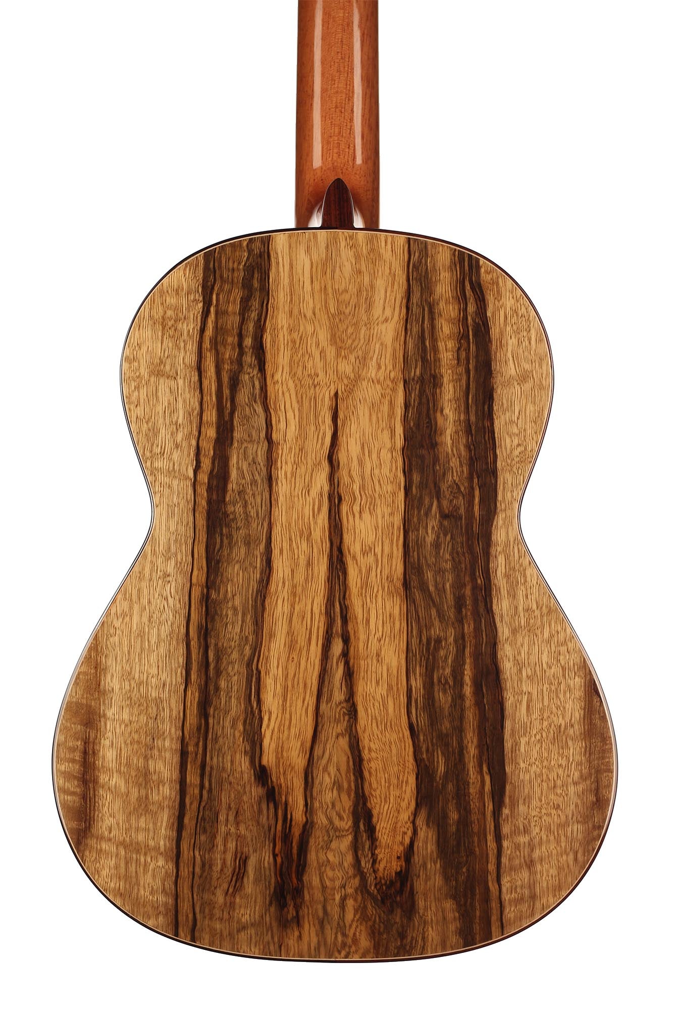 Raimundo - Tatyana Ryzhkova Signature Cedar