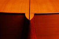 José Ramirez - 1970 1A Flamenca