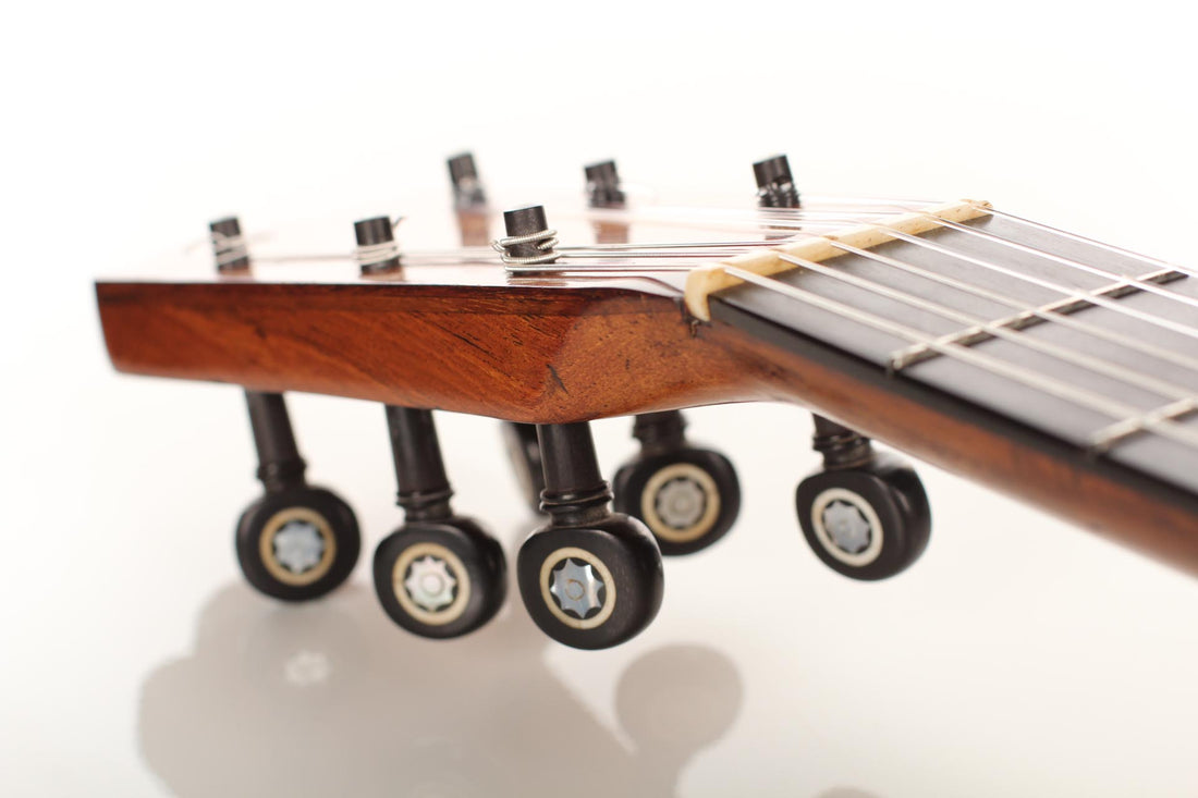 Vicente Arias – 1913