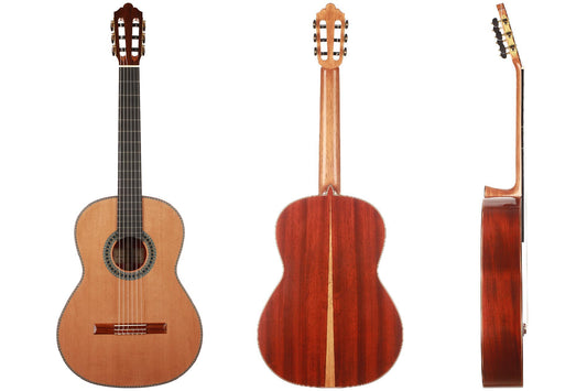 Wolfgang Jellinghaus - "Conservatory" img-2