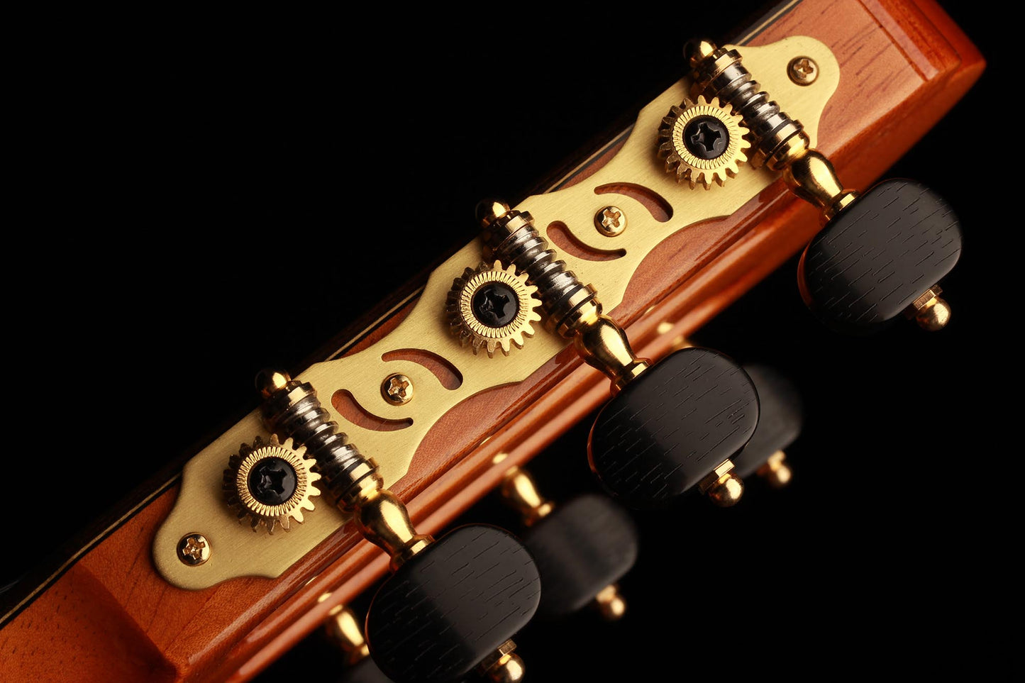 Yulong Guo - Chamber Concert Doubletop Spruce