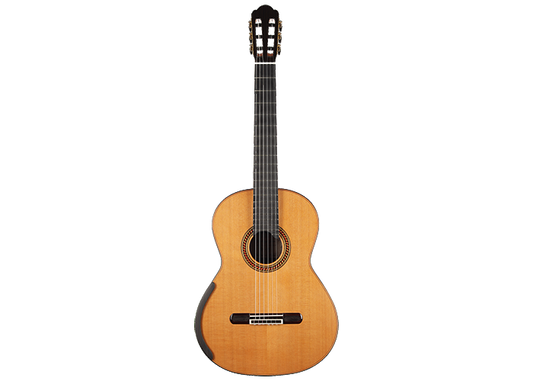 Yulong Guo - 2020 Chamber Concert Doubletop