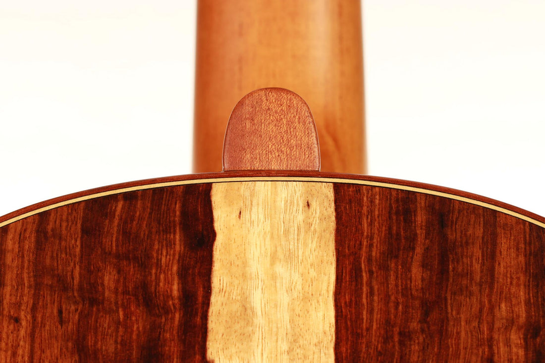 Yulong Guo - Chamber Concert 2018 CF Doubletop