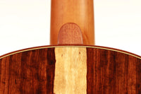 Yulong Guo - Chamber Concert 2018 CF Doubletop