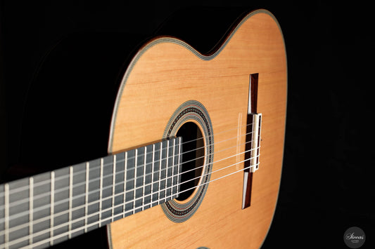 Adrian Heinzelmann - 2024 img-2