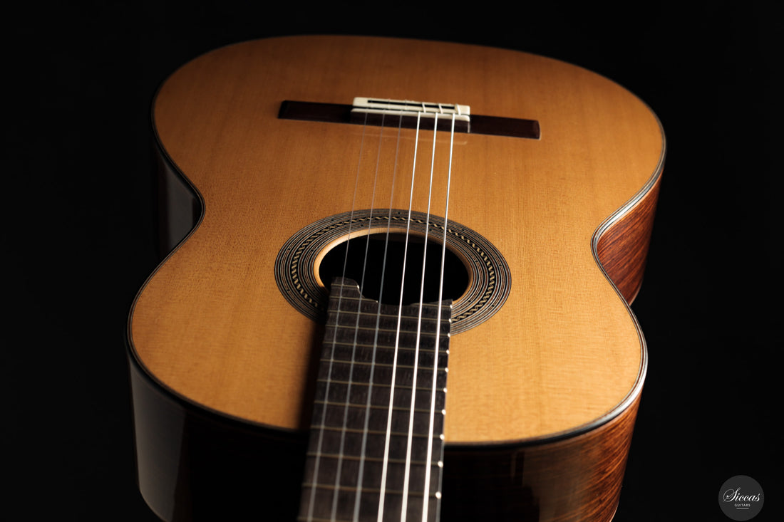 Alessandro Perciaccante - 2025 - No.19