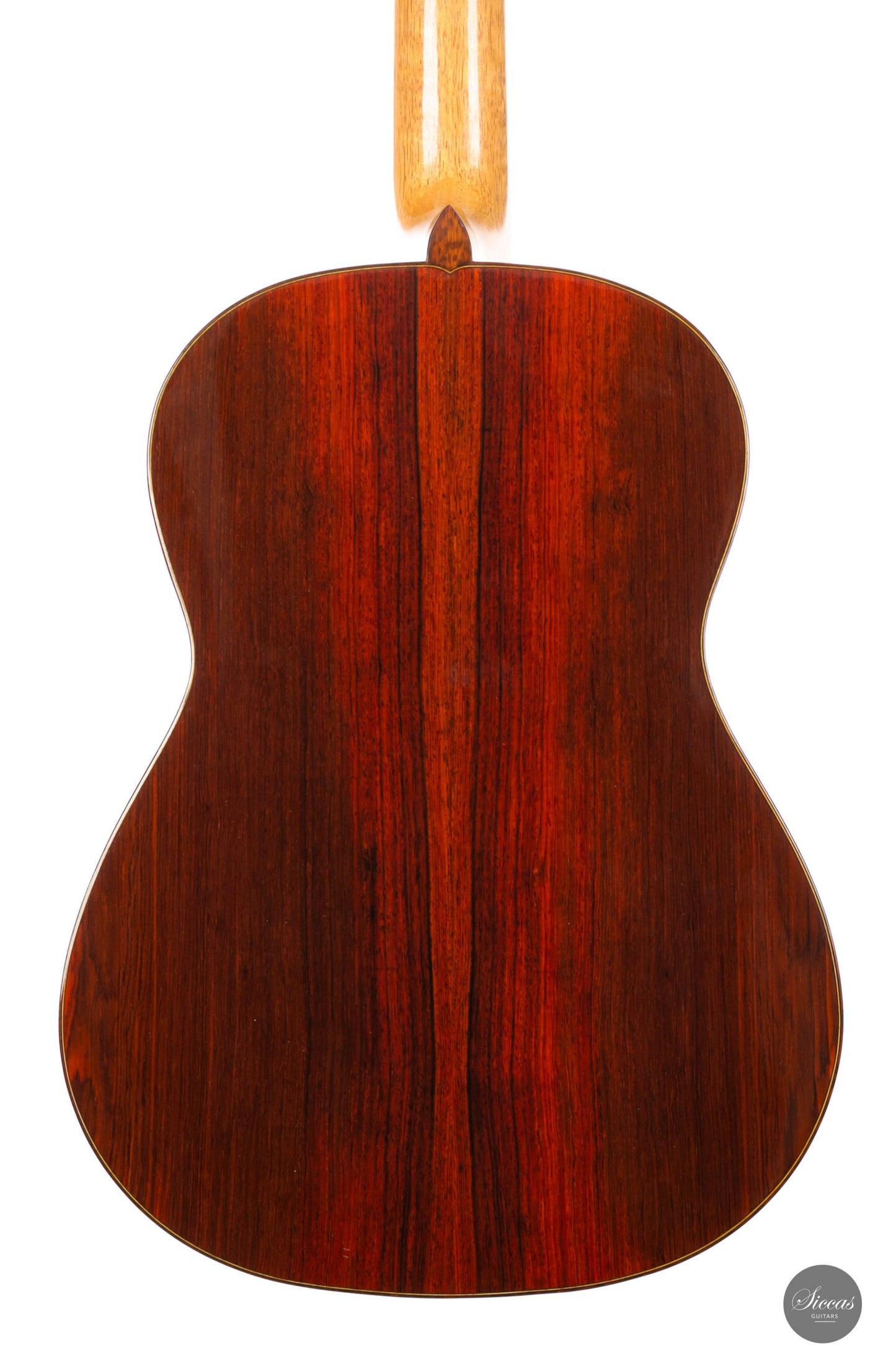Aldo Illotta - 2025 - REG 2025 Limited Edition