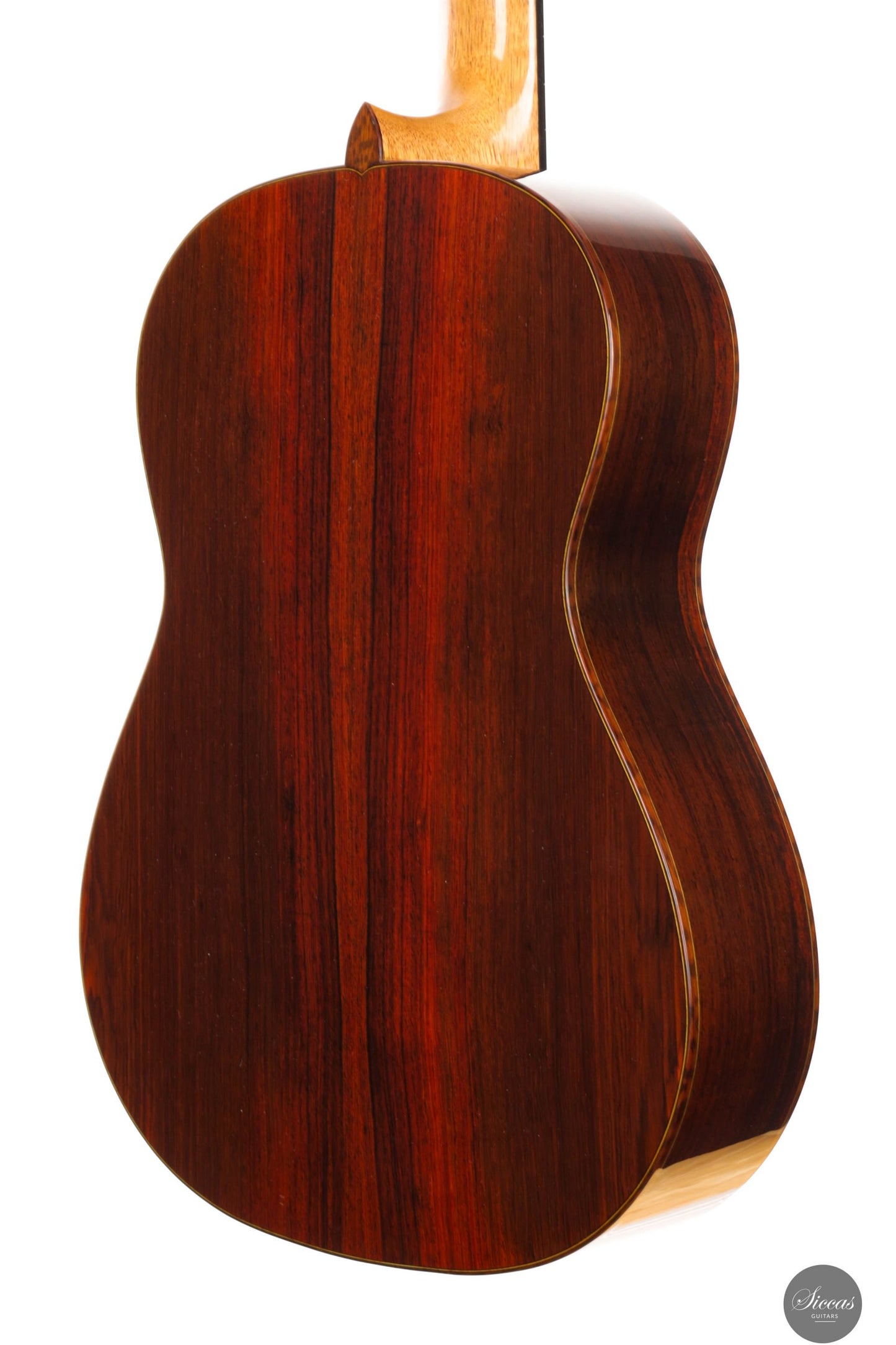 Aldo Illotta - 2025 - REG 2025 Limited Edition