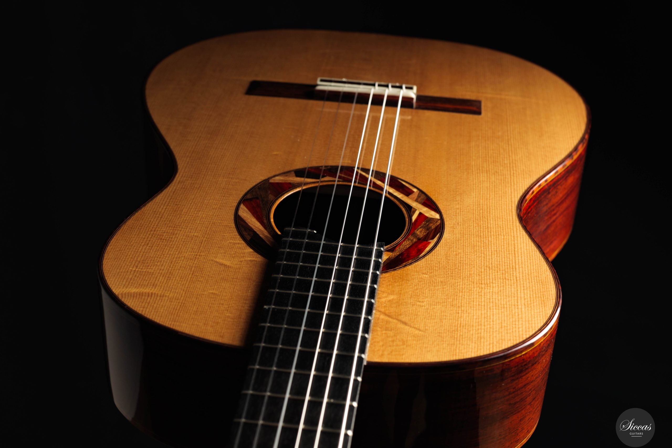 Aldo Illotta - 2025 - REG 2025 Limited Edition – Siccas Guitars