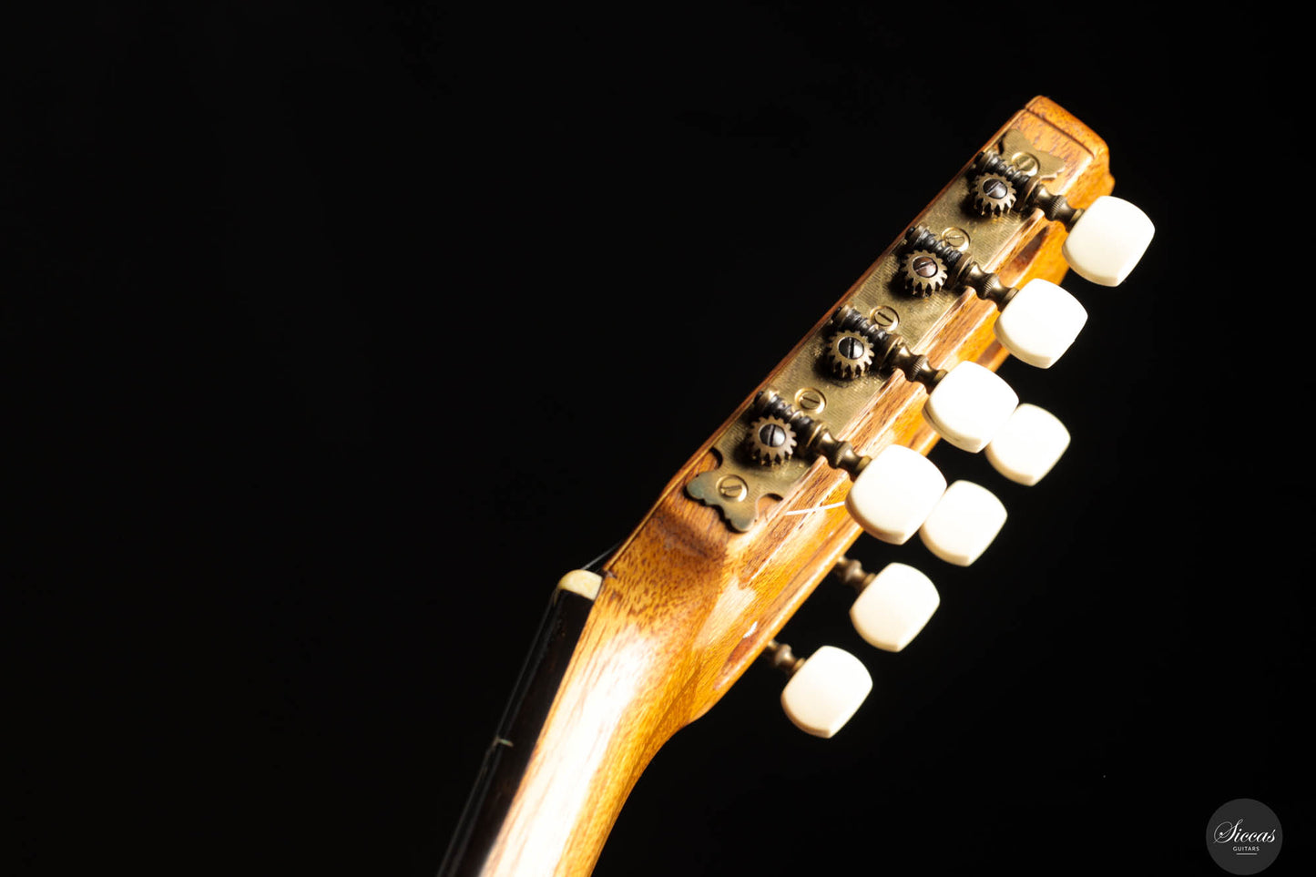 Andrea Tacchi - 1981 - 8-String Tierce Model