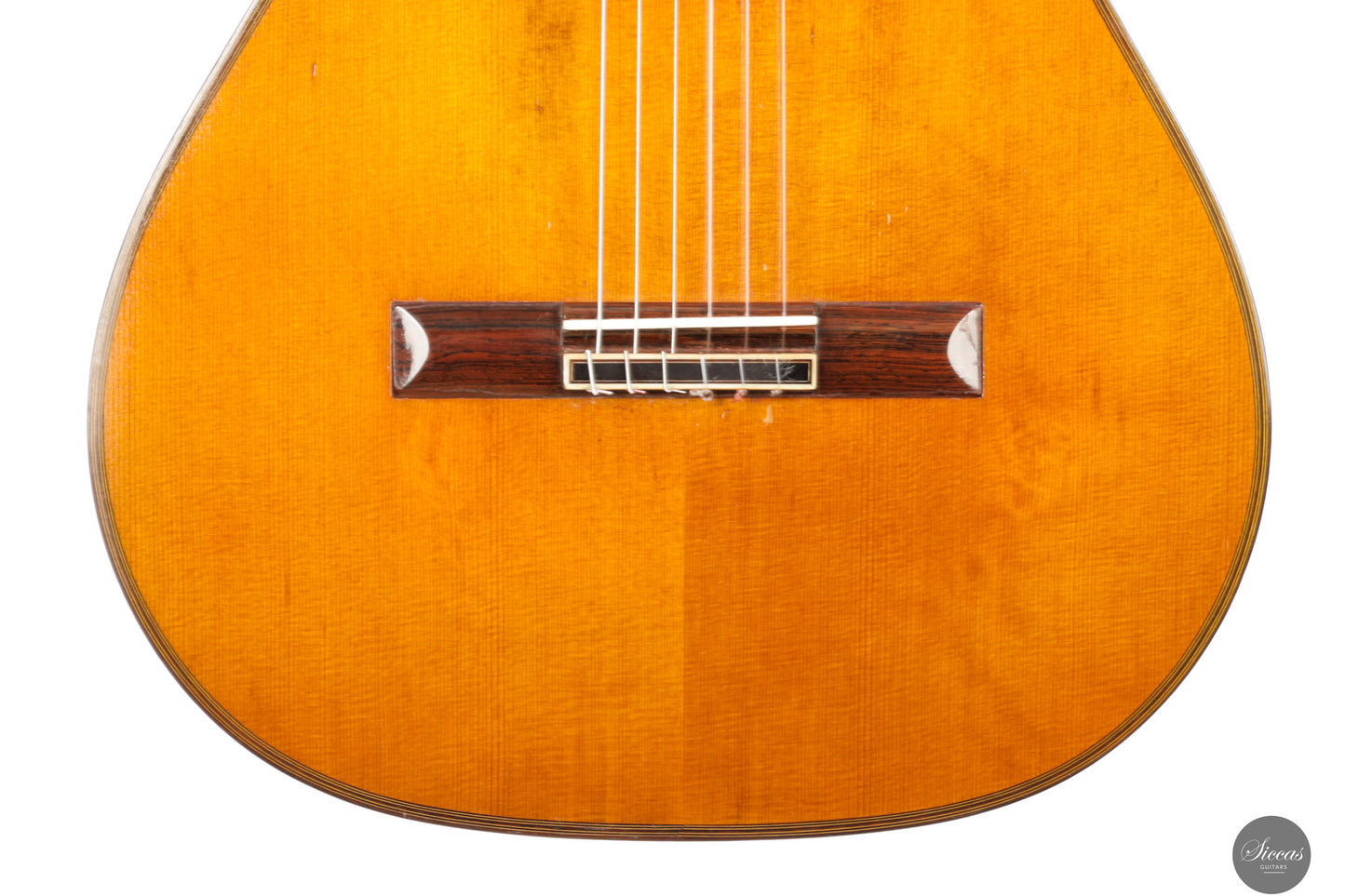 Andrea Tacchi - 1994 - Coclea 6/XVII - 65.5 cm