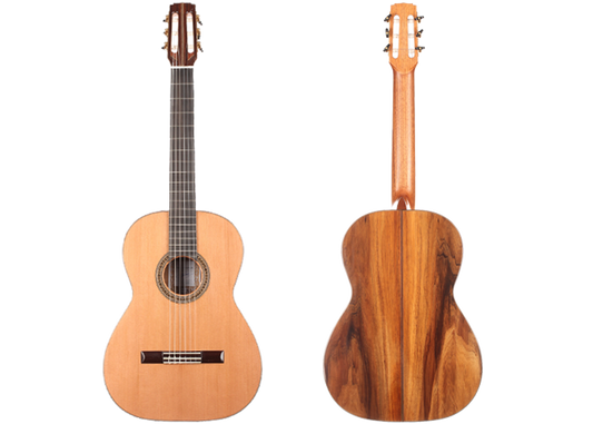 Ariel Ameijenda - 2017 CF img-2