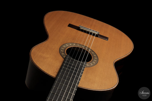 Ashley Sanders - 2026 - No. 77 img-2