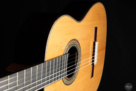 Danilo Bazzana - 2025 No. 69 - REG 2025 Limited Edition img-2