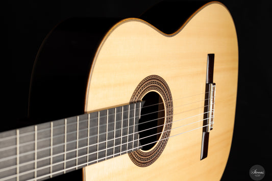 Daryl Perry - 2024 No. 258 img-2