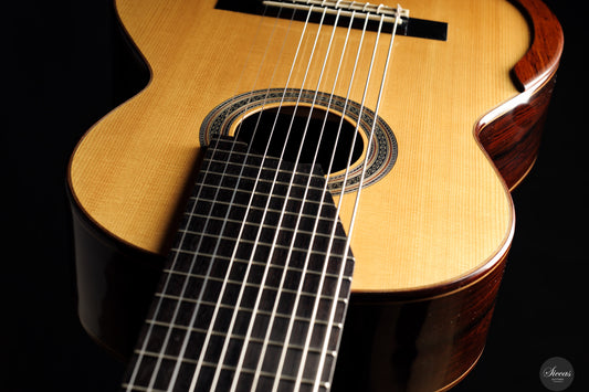 Dieter Müller - 2019 Doubletop 10 strings img-2