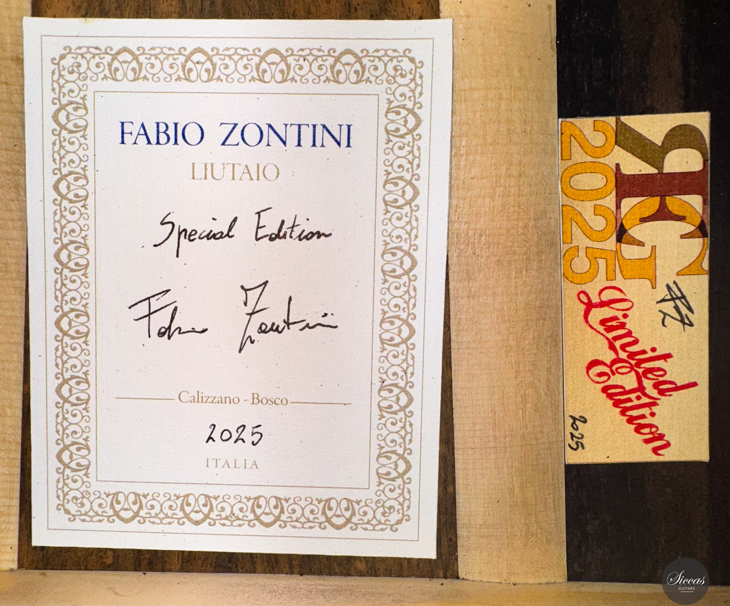 Fabio Zontini - 2025 Torres - 2025 REG Special Edition 63 cm