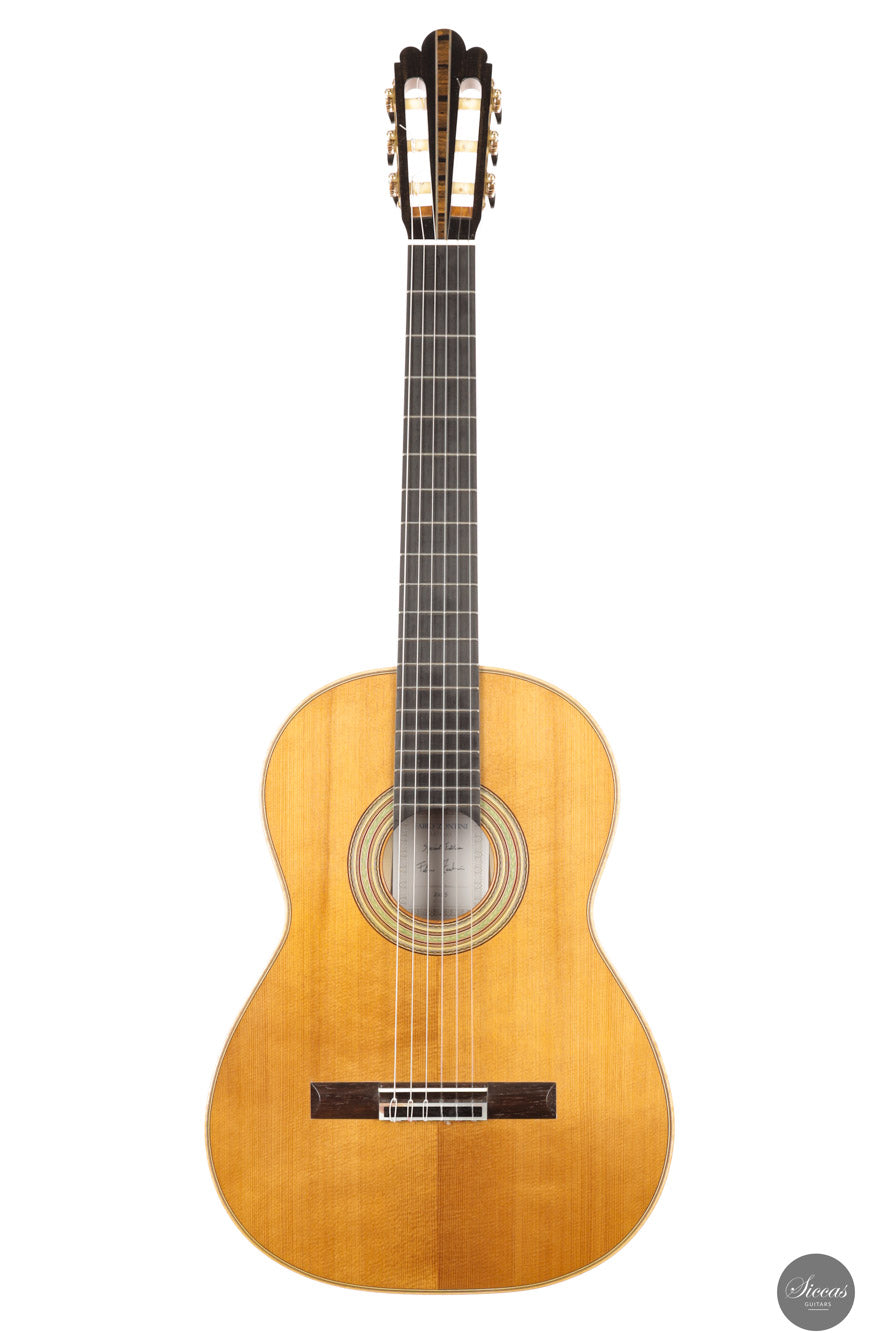 Fabio Zontini - 2025 Torres - 2025 REG Special Edition 63 cm