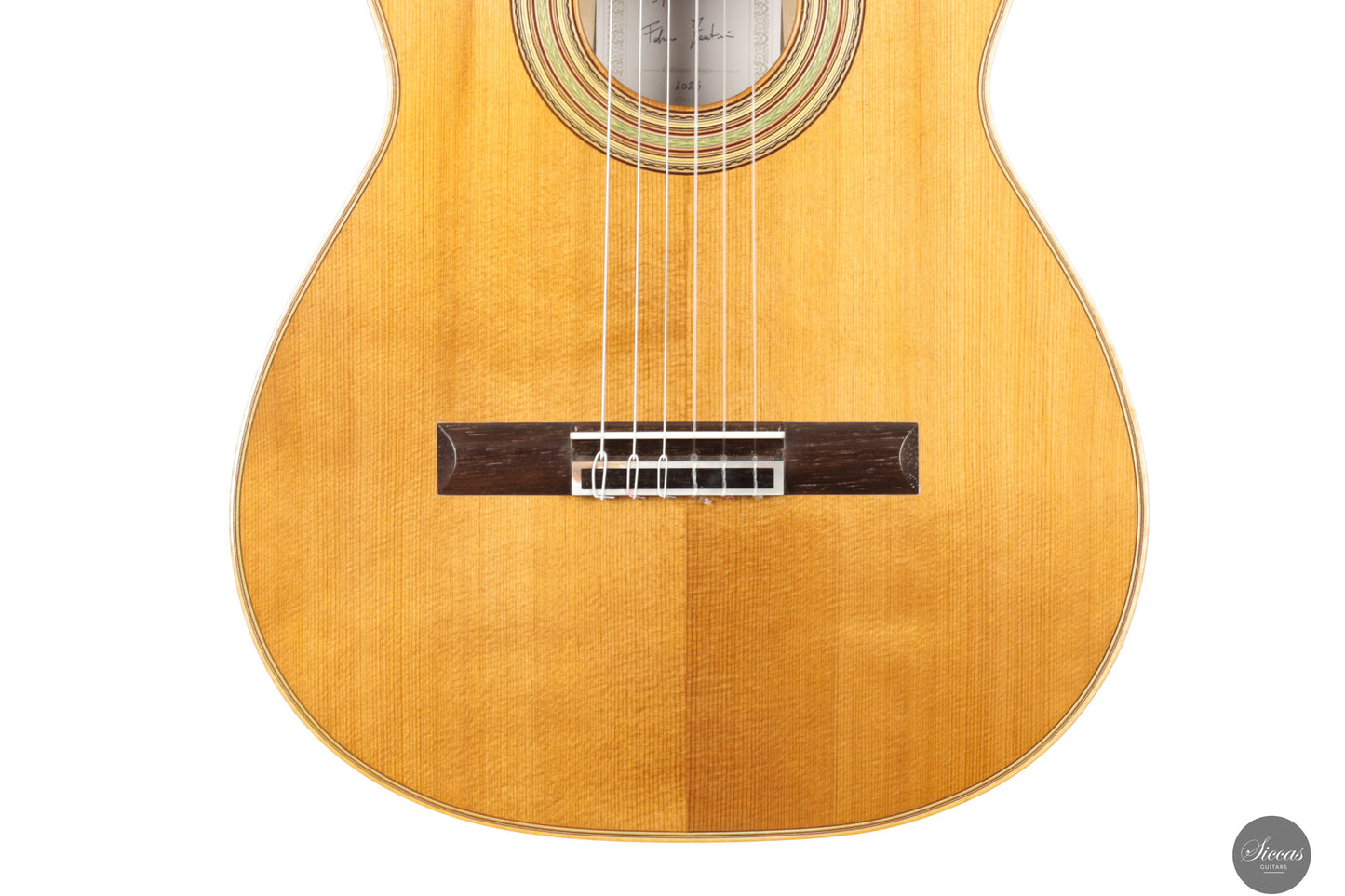 Fabio Zontini - 2025 Torres - 2025 REG Special Edition 63 cm