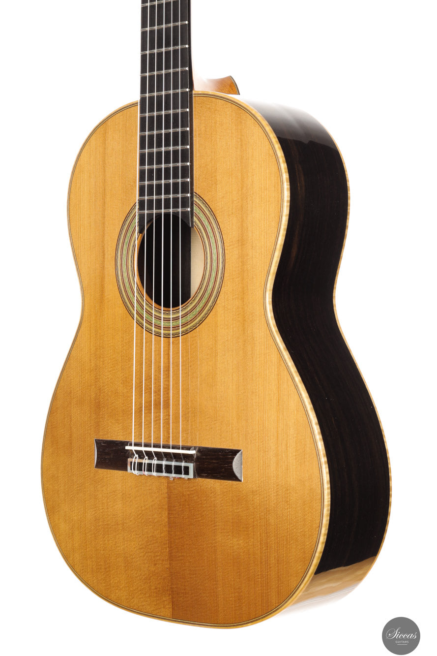 Fabio Zontini - 2025 Torres - 2025 REG Special Edition 63 cm