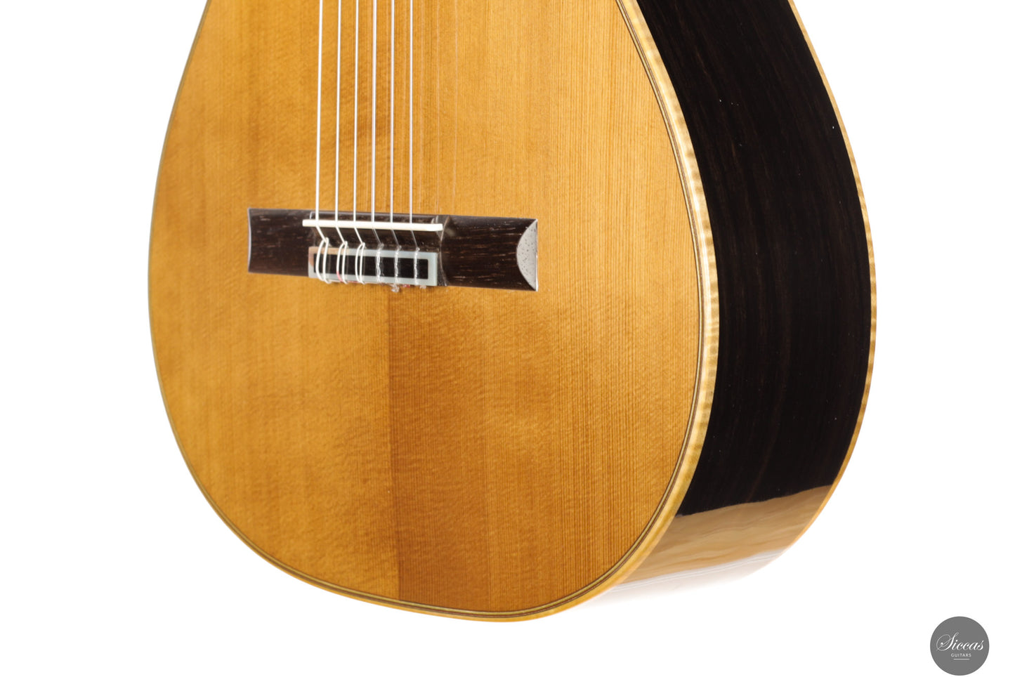 Fabio Zontini - 2025 Torres - 2025 REG Special Edition 63 cm