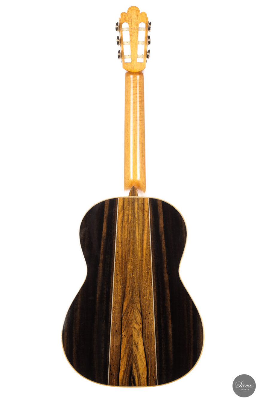 Fabio Zontini - 2025 Torres - 2025 REG Special Edition 63 cm