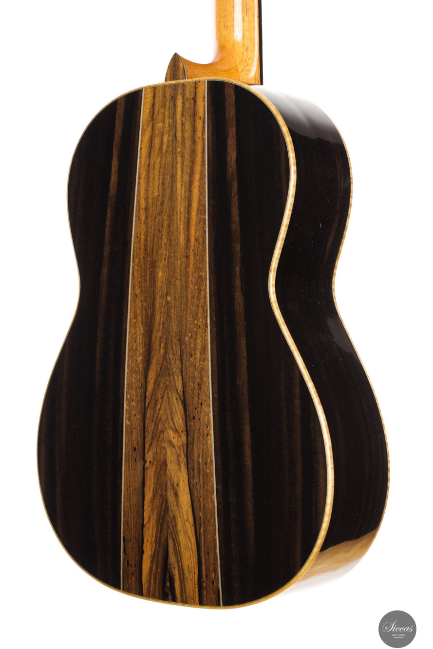 Fabio Zontini - 2025 Torres - 2025 REG Special Edition 63 cm