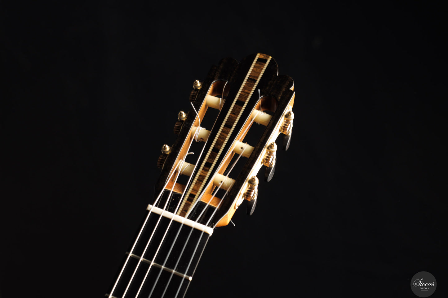 Fabio Zontini - 2025 Torres - 2025 REG Special Edition 63 cm